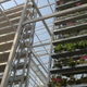 Illustration for article titled Worlds first commercial vertical farm opens in Singapore